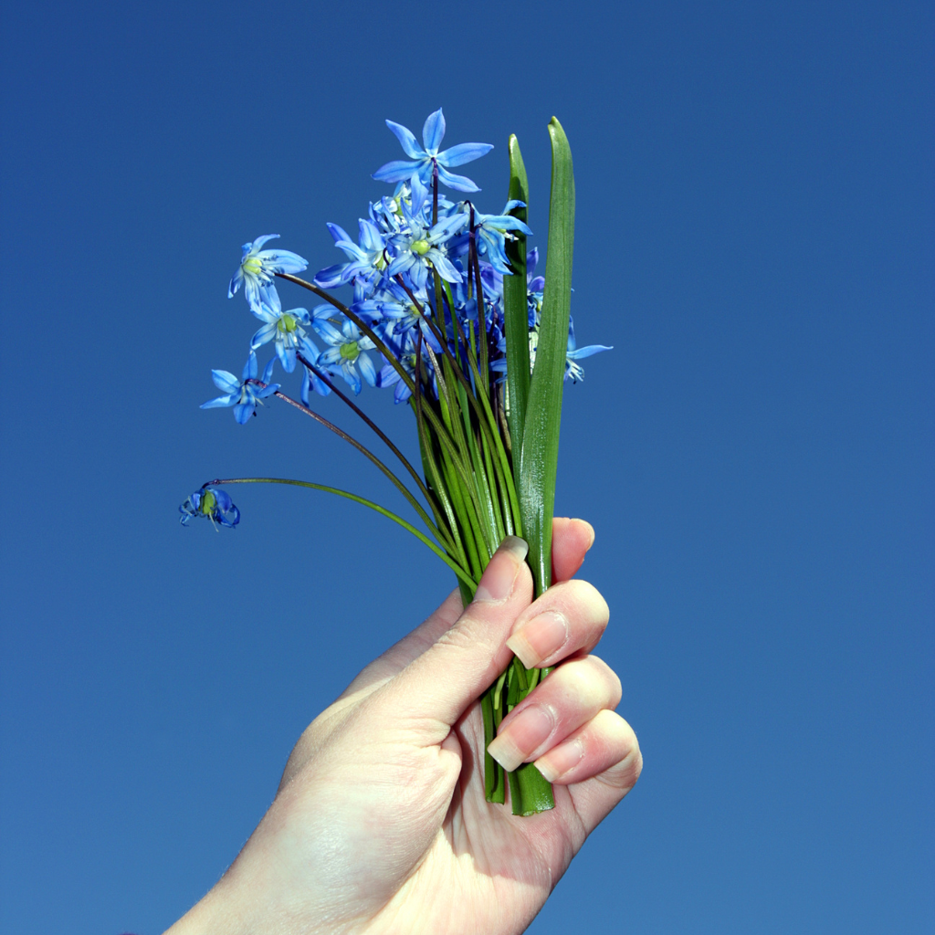 Remerciements Parce qu'un simple merci peut être précieux.